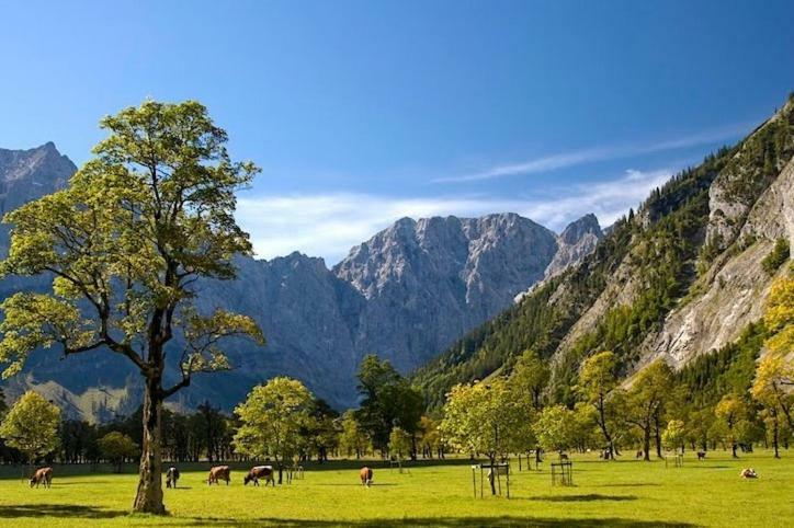 Alpenfreund Lägenhet Mittenwald Exteriör bild