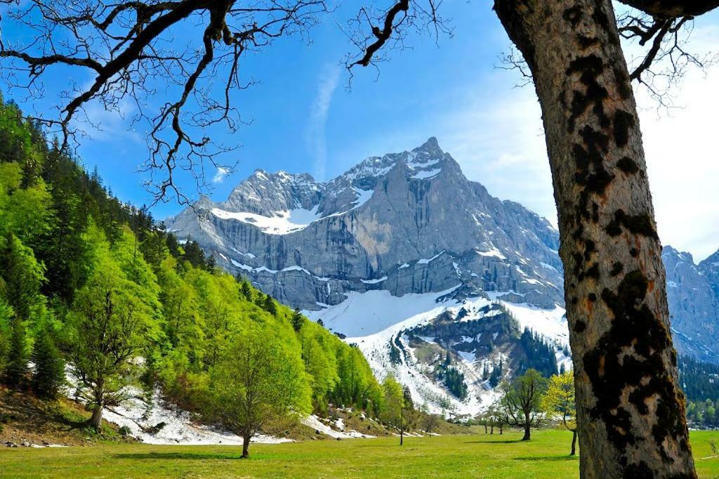 Alpenfreund Lägenhet Mittenwald Exteriör bild