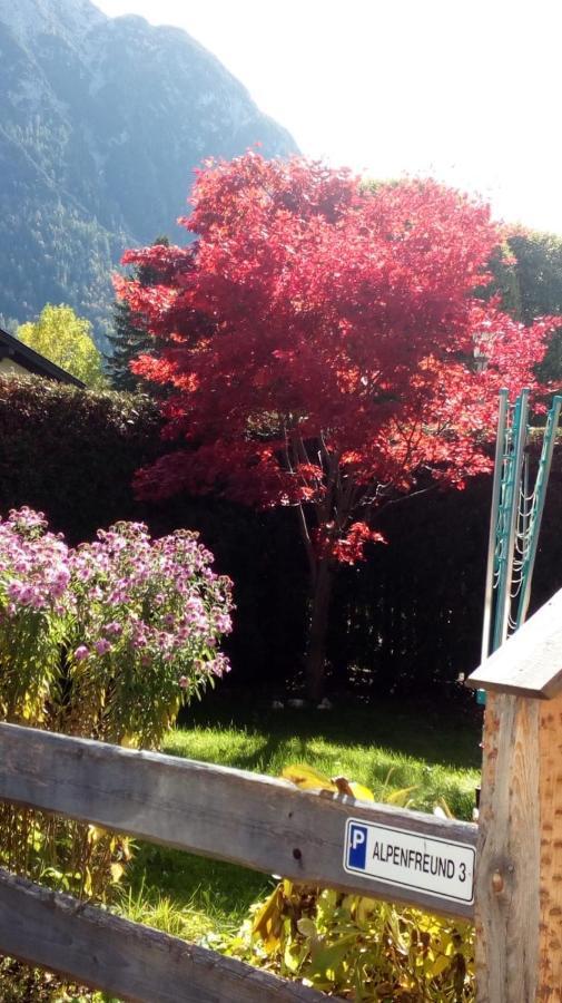 Alpenfreund Lägenhet Mittenwald Exteriör bild